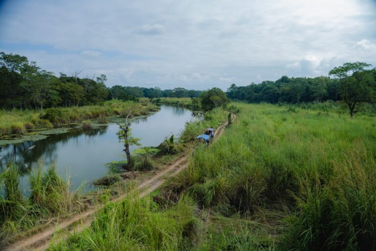 Wildlife Safari and Bird Watching