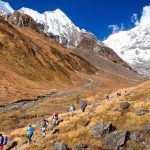 Trekking and Hiking